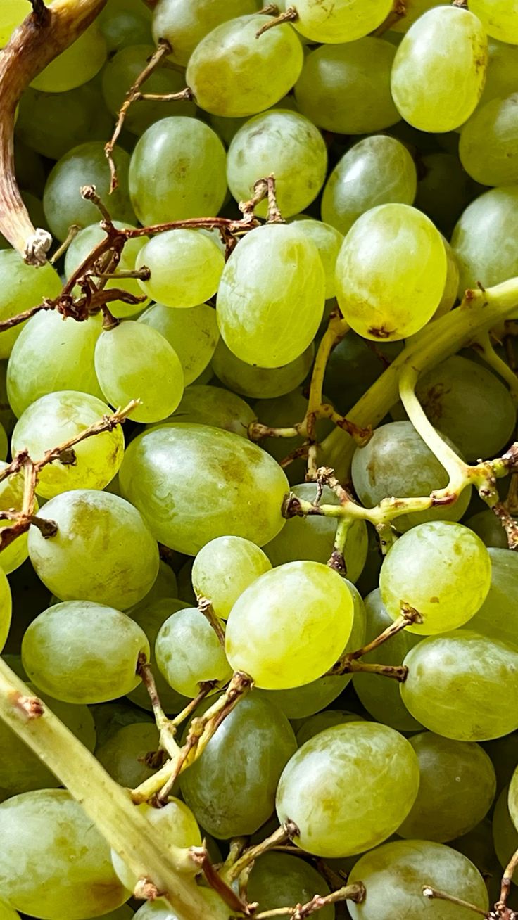 Seedless Green Grapes	 2