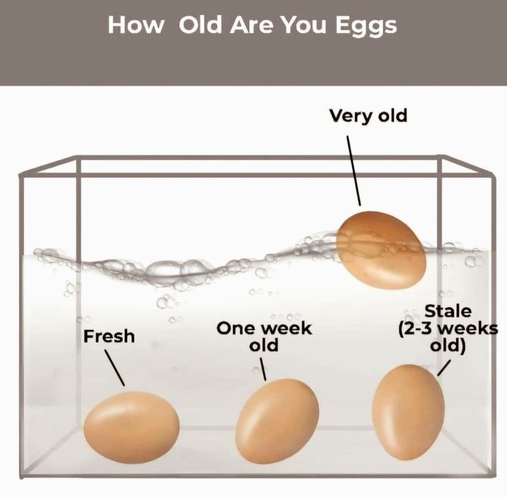 Organic Country‑Layer Eggs (Tray of 30)	 2